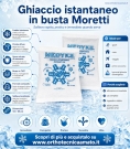 Immagine 2 di Ghiaccio istantaneo in busta moretti